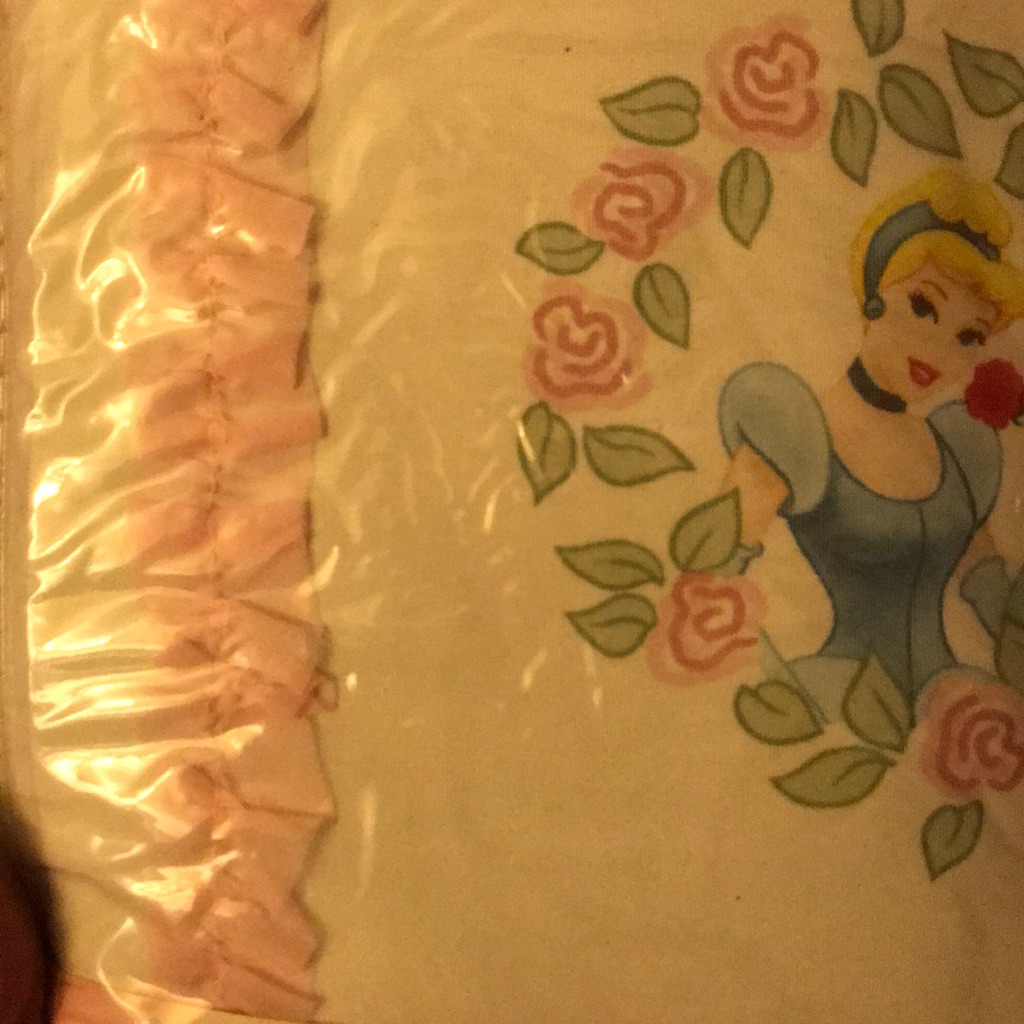 Disney Princess One Rod Pocket Panel